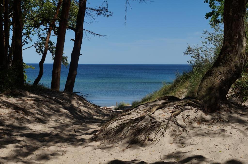 Green Dream Polanki z sauną i pomieszczeniem na rowery Kołobrzeg Zewnętrze zdjęcie